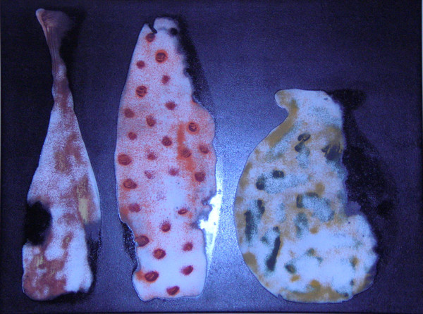 Still Life No 11