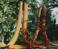 'U'  Sculpture