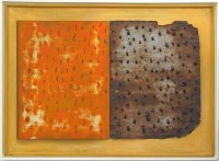Flood Plain/Clay Pans      2004